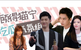 娱乐吃瓜气氛组,吃瓜群众狂欢盛宴