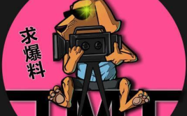 吃瓜娱乐咖,揭秘娱乐圈幕后故事与明星幕后生活