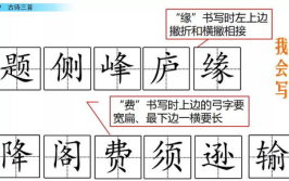 娱乐吃瓜四字成语大全及解释,揭秘娱乐吃瓜界的四字成语奥秘