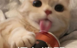娱乐吃瓜酱不开心