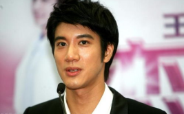 吃瓜娱乐圈 王力宏,娱乐圈的瓜田，他的故事与争议