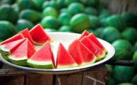 娱乐吃瓜酱江苏,江苏娱乐圈的那些事儿