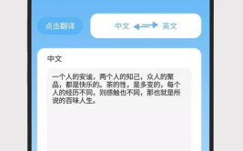 娱乐吃瓜酱英文翻译,From Entertainment Gossips to Global Buzz: A Journey Through the World of Celebrity News