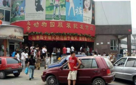 动物园批发市场,动物用品与观赏植物的集散地探秘