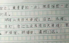 娱乐吃瓜酱小学生作文,小学生眼中的娱乐圈风云